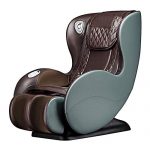 BOSSCARE Massage Chairs SL Track Full Body and Recliner, Shiatsu Recliner, Massage Chair with Bluetooth Speaker (Green 8516)