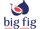 Big Fig Mattress