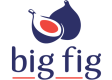 Big Fig Mattress