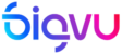 Bigvu