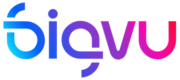 Bigvu
