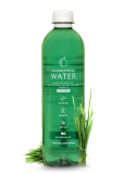 Chlorophyll Water Discount Code – 20% Off 6 Pack @Chlorophyllwater.com