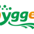 Free Shipping Hygger Orders