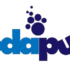 10% Off SodaPup Sitewide